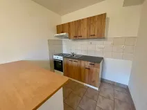 Pronájem bytu 1+1, Litoměřice, Nezvalova, 42 m2