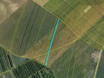 Prodej pole, Čejkovice, 25676 m2