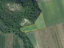 Prodej sadu/vinice, Želkovice, 28919 m2