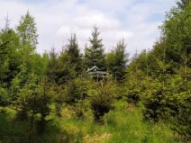 Prodej lesa, Žirovnice, 8890 m2