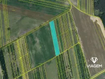 Prodej podílu pole, Valtice, 1885 m2