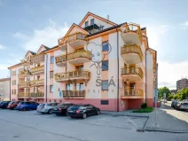 Prodej bytu 2+kk, České Budějovice - České Budějovice 3, U Trojice, 54 m2