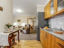 Prodej bytu 2+kk, České Budějovice - České Budějovice 3, U Trojice, 54 m2