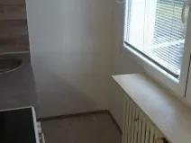 Pronájem bytu 1+kk, Most, K. H. Borovského, 20 m2