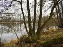 Prodej rybníku, Křivsoudov, 26509 m2