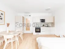 Pronájem bytu 1+kk, Brno, Spolková, 31 m2