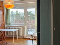 Pronájem pokoje, Praha - Dejvice, Starého, 15 m2