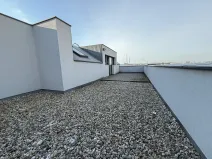 Pronájem bytu 1+kk, Brno, Táborská, 48 m2