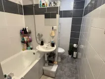 Pronájem bytu 1+1, Děčín - Děčín VI-Letná, 43 m2