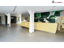 Pronájem garáže, Praha - Žižkov, Pitterova, 3 m2