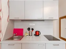 Pronájem bytu 1+kk, Praha - Nusle, Na Jezerce, 18 m2