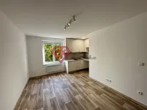 Pronájem bytu 1+kk, Ústí nad Orlicí, Špindlerova, 22 m2
