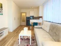 Pronájem bytu 1+kk, Písek, Pražská, 32 m2