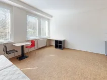 Pronájem bytu 1+kk, Praha - Smíchov, Křížová, 40 m2
