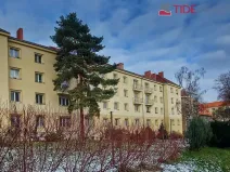 Pronájem bytu 2+1, Praha, Kladenská, 56 m2