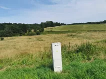 Prodej pozemku pro bydlení, Jablonné v Podještědí, 22371 m2