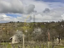 Prodej sadu/vinice, Strážnice, Veselská, 2284 m2