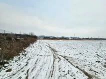 Prodej komerčního pozemku, Tečovice, 15590 m2