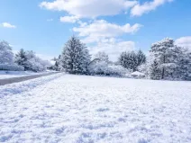 Prodej pozemku pro bydlení, Sopotnice, 501 m2