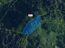 Dražba lesa, Český Dub, 1217 m2