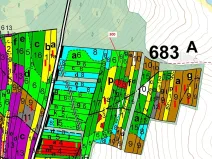 Dražba lesa, Vesce, 5196 m2