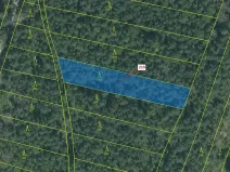 Dražba lesa, Vesce, 1673 m2