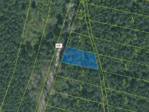 Dražba lesa, Vesce, 682 m2