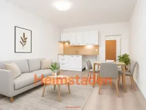 Pronájem bytu 1+kk, Orlová - Lutyně, Masarykova třída, 27 m2