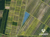 Prodej podílu pole, Hlohovec, 5055 m2