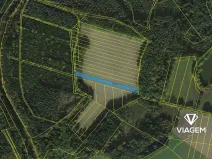 Prodej pole, Stříbřec, 3852 m2