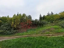 Prodej pozemku pro bydlení, Ústí nad Labem, Cestička, 1750 m2