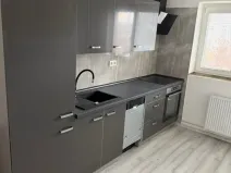 Pronájem bytu 2+kk, Krnov - Pod Bezručovým vrchem, Vrchlického, 54 m2