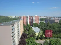 Prodej bytu 1+kk, Brno, Prušánecká, 33 m2