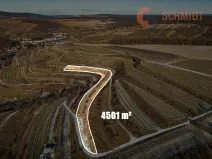 Prodej sadu/vinice, Němčičky, 4556 m2