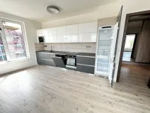 Pronájem bytu 2+kk, Ostrava - Moravská Ostrava, F. X. Riepla, 60 m2