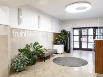 Pronájem kanceláře, Praha - Nové Město, Truhlářská, 20 m2