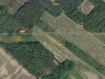 Prodej louky, Horušice, 1217 m2