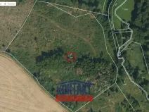 Prodej lesa, Vokov, 19055 m2