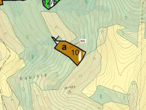 Dražba lesa, Zubrnice, 4610 m2