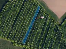 Dražba lesa, Hradčany-Kobeřice, 5428 m2