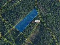Dražba lesa, Jílové u Držkova, 4305 m2