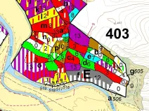 Dražba lesa, Pyšel, 6602 m2