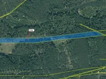 Dražba lesa, Jesenice, 12984 m2