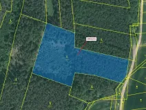 Dražba lesa, Milavče, 9168 m2