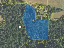 Dražba lesa, Sýkořice, 8962 m2