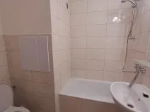 Pronájem bytu 1+kk, Liberec - Liberec XIV-Ruprechtice, Borový vrch, 28 m2