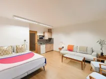 Pronájem bytu 1+kk, Praha - Michle, Hanusova, 32 m2