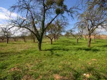 Prodej zahrady, Bučovice, 363 m2