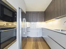 Pronájem bytu 4+kk, Praha - Smíchov, Holečkova, 211 m2