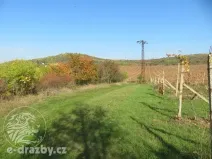 Dražba sadu/vinice, Velké Žernoseky, 2775 m2